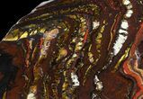 Polished Tiger Iron Stromatolite - ( Billion Years) #65327-1